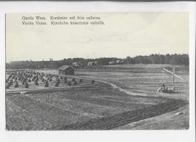 Vaasa Vanha Vaasa  -  paikkakuntapostikortti postikortti paikkakuntakortti  kulkenut 1918