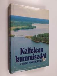 Keiteleen kummisedät : pienkunnan tulevaisuus