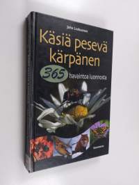 Käsiä pesevä kärpänen : 365 havaintoa luonnosta
