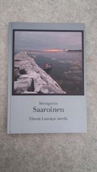 Metsäpirtin Saaroinen