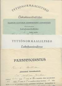 Koulutodistuksia alk 1924 n 25 kpl erä - todistus