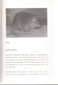 Nutrian, angorakanin ja chinchillan hoito