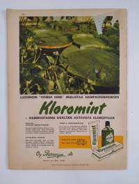 Kotiliesi 11/1953