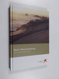Basic neuroanatomy