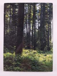 Timber Country Revisited