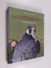 Muuttohaukka : taivaanjumala