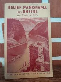 Relief Panorama des Rheines