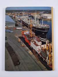 Hamina