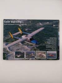 Gale warning : aerial photographs of ships in rough seas