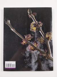Digital plant photography