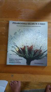 Pisaroissa silmun usko. Runomatka Vuoksenrannasta Gammennogorskiin.