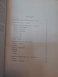 Suomen taide - Esihistoriallisesta ajasta meidän päiviimme