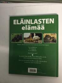 Eläinlasten elämää