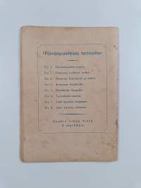 Pulmasen noidutut taskut