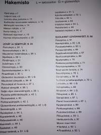 Kevytkeittiön leivontakirja