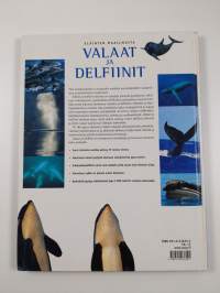 Valaat ja delfiinit