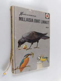 Millaisia ovat linnut