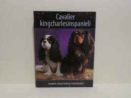 Cavalier kingcharlesinspanieli