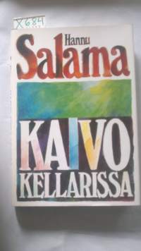 Kaivo kellarissa