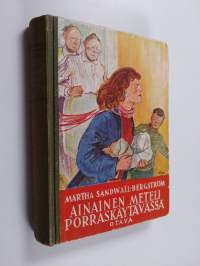 Ainainen meteli porraskäytävässä : nuorisoromaani