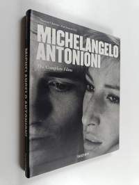 Michelangelo Antonini : the investigation