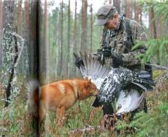 Suurriistan metsästys