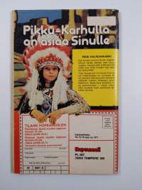Hopeanuoli 12-13/78