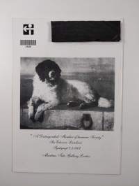 Landseer 3/00