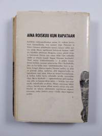 Aina roiskuu kun rapataan : poliisiromaani