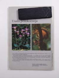 Suomen Luonto 2/1977