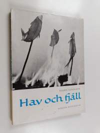 Hav och fjäll