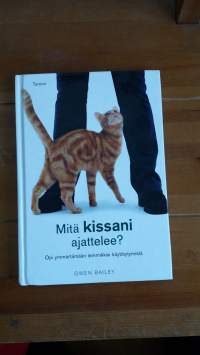 Mitä kissani ajattelee?