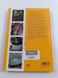 Betoni : hauska harrastus