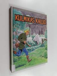 Kulmikas kallio