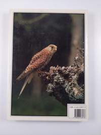 Which Bird ? Birds of Britain and Europe