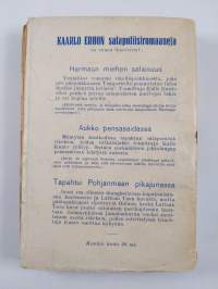 Tapahtui Pohjanmaan pikajunassa : salapoliisiromaani