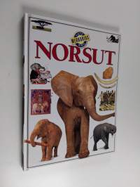 Norsut