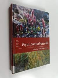 Pajut puutarhassa