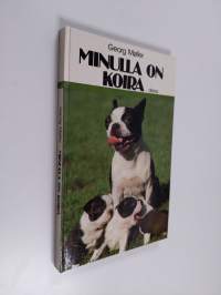 Minulla on koira