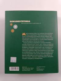 Kansanestetiikka