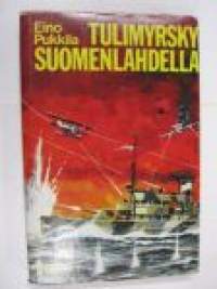 Tulimyrsky Suomenlahdella - romaani