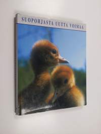 Suopohjasta uutta voimaa = The after-use alternatives of postharvesting peat production sites