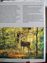 Ruissalo : luontoa ja kulttuuria