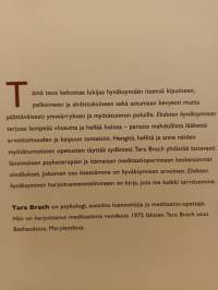Ehdoton hyväksyminen, elämän vastaanottaminen avoimin sydämin