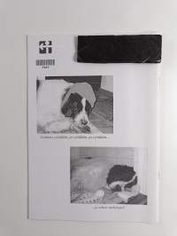 Landseer 4/04