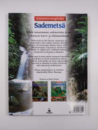 Sademetsä