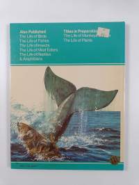 The Life of Sea Mammals - A Simple Introduction to the Way Sea Mammals Live and Behave