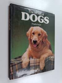 The world of dogs