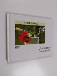 Siunattuna elämän teillä
