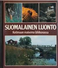 Suomalainen luonto - Kotimaan maisema lähikuvassa.